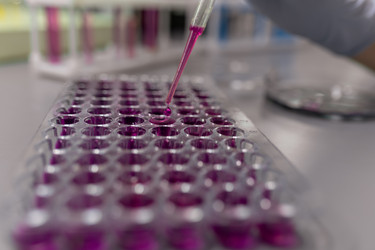 Similar image 20768057