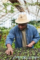 Similar image 20772256