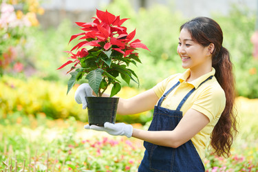 Similar image 20784261