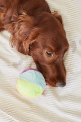 Similar image 20766223