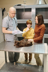 Similar image 20778394