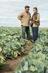 Similar image 20781638