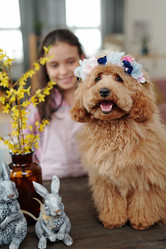 Similar image 20755613