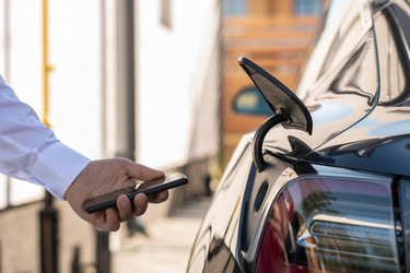 Similar image 20780821