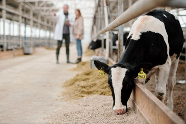 Similar image 20755645