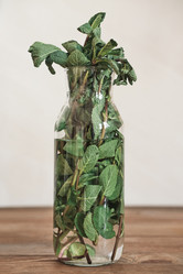 Similar image 20761873