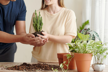 Similar image 20753300