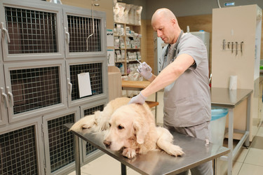 Similar image 20753071