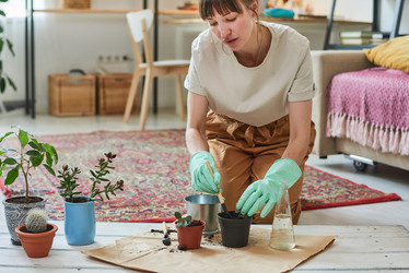 Similar image 20769373