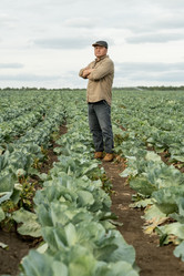 Similar image 20760054