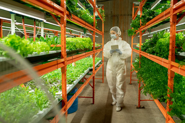 Similar image 20774823