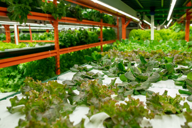 Similar image 20772751