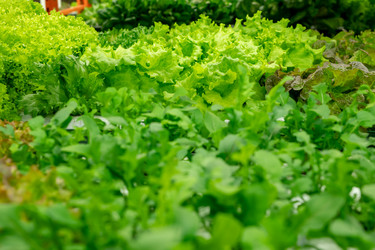 Similar image 20774425