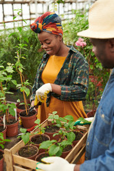 Similar image 20760856