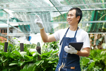 Similar image 20757932