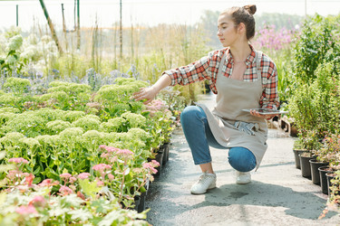 Similar image 20774662