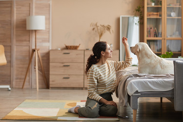 Similar image 20757120