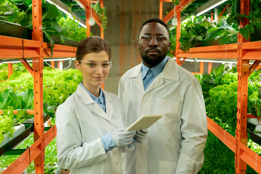 Similar image 20769493