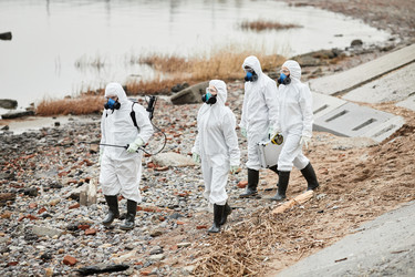 Similar image 20787667