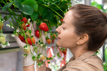 Similar image 20776161