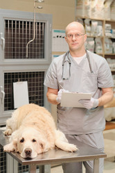 Similar image 20752774