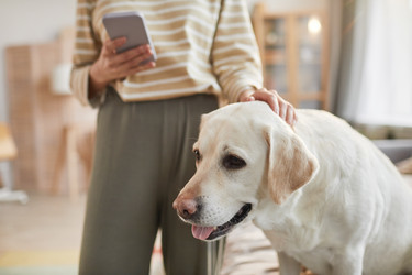 Similar image 20765943