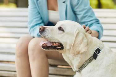 Similar image 20779458