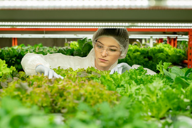 Similar image 20778036