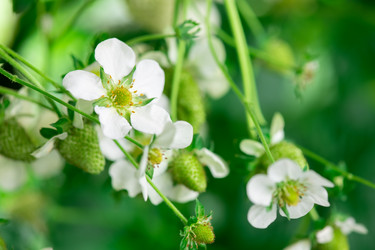 Similar image 20754251