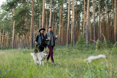 Similar image 20783574