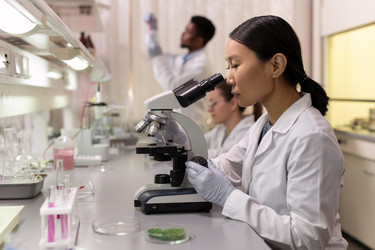 Similar image 20761015