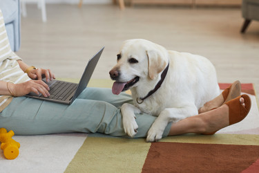 Similar image 20771612