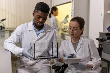 Similar image 20773726