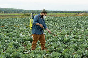 Similar image 20767485