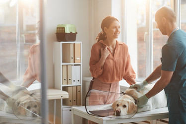 Similar image 20760802