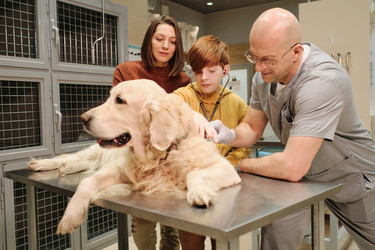 Similar image 20763039