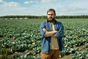 Similar image 20787906