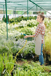 Similar image 20764624