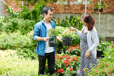 Similar image 20788524