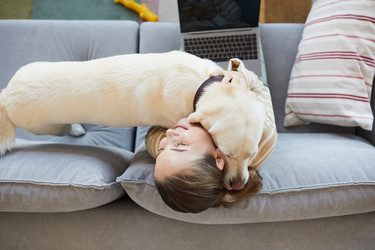 Similar image 20769651