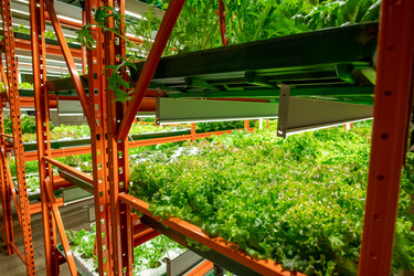 Similar image 20773873