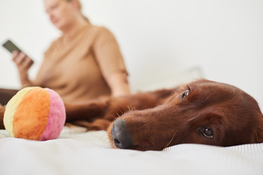 Similar image 20784310