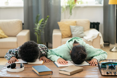 Similar image 20755355