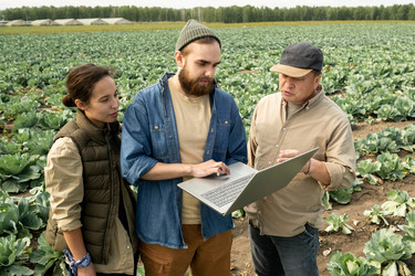 Similar image 20775237