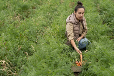 Similar image 20755164