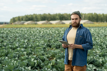 Similar image 20785621