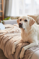 Similar image 20762702