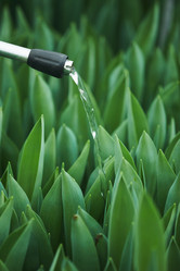 Similar image 20826243