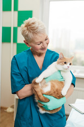 Similar image 20795702