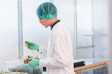 Similar image 20807684